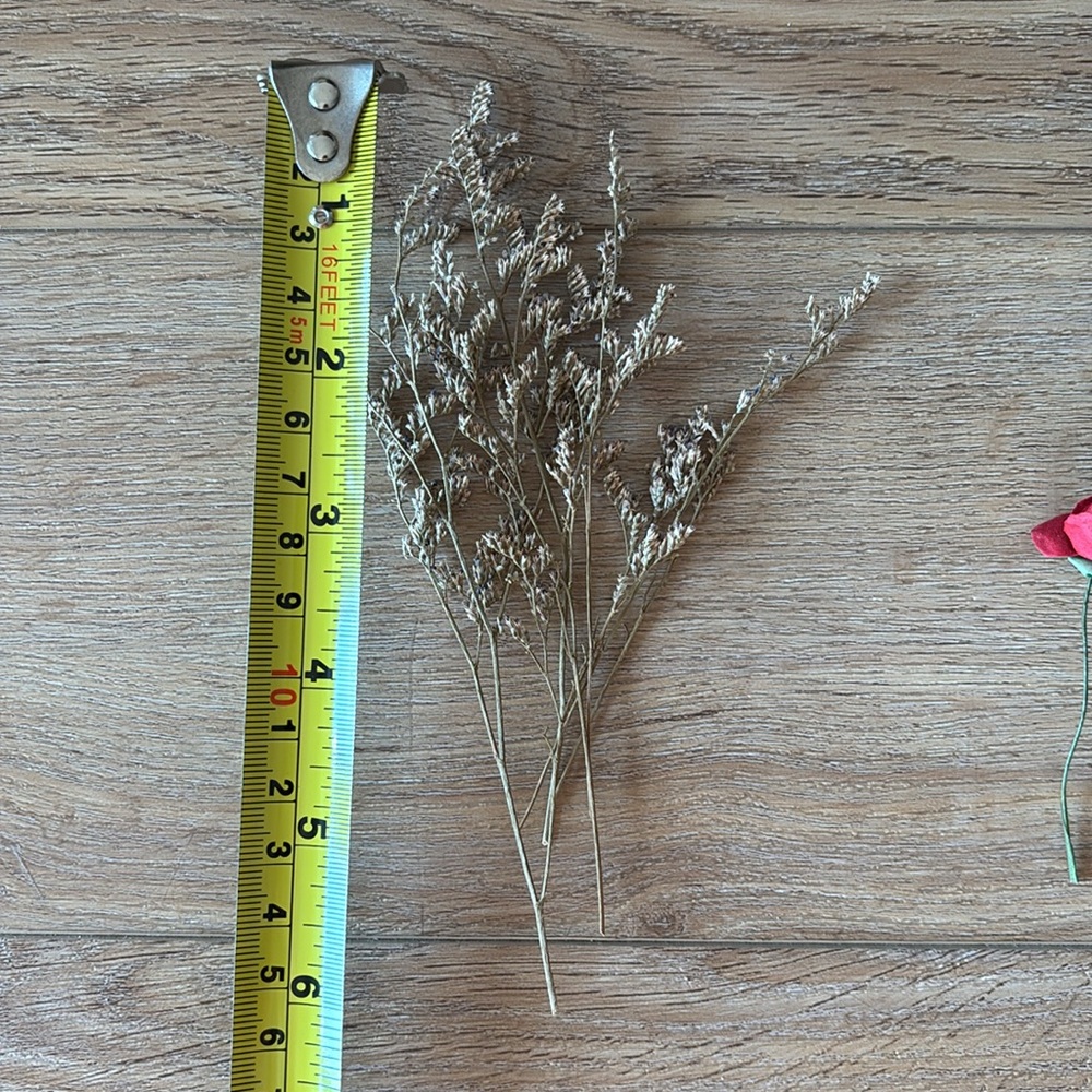 Creative Projects-Dried Flowers - Picture 8 of 9
